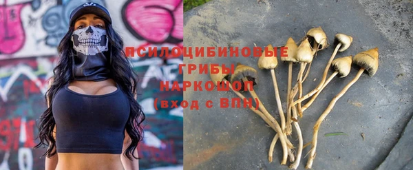 дурь Чегем