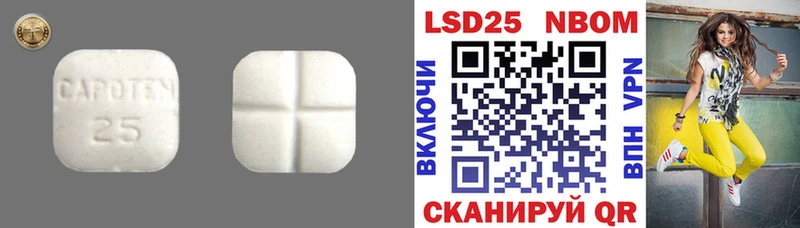 LSD-25 экстази ecstasy  Александровск 