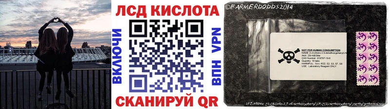 Марки N-bome 1500мкг  hydra ссылка  Александровск 
